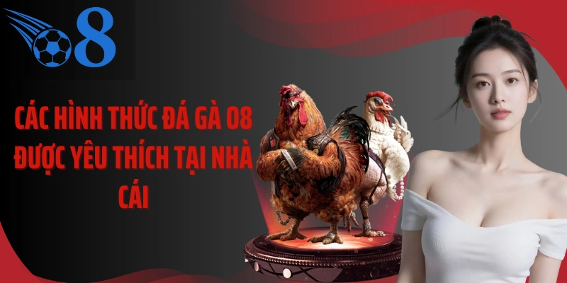 Các hình thức đá gà O8 được yêu thích tại nhà cái